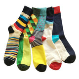 5 Cotton men sock long colorful socks