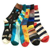 5 Cotton men sock long colorful socks