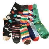 5 Cotton men sock long colorful socks